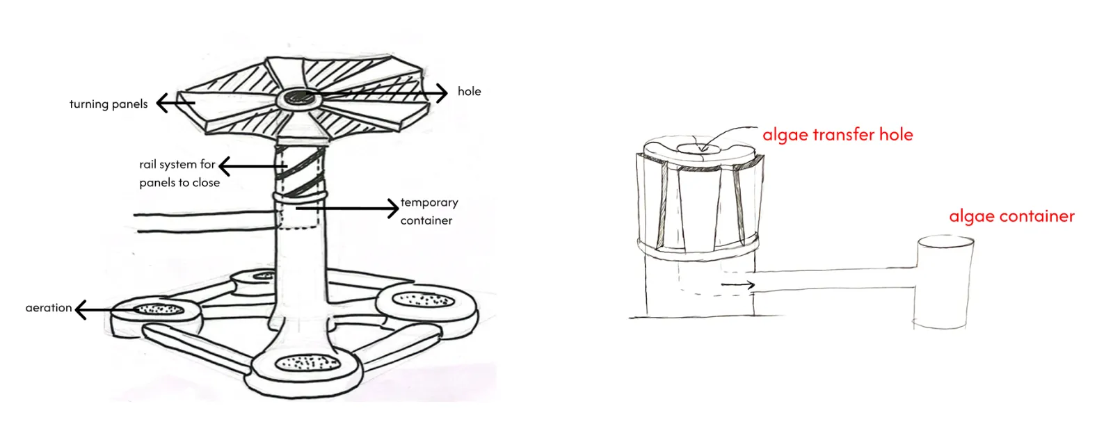 Algae collecting aeration concept