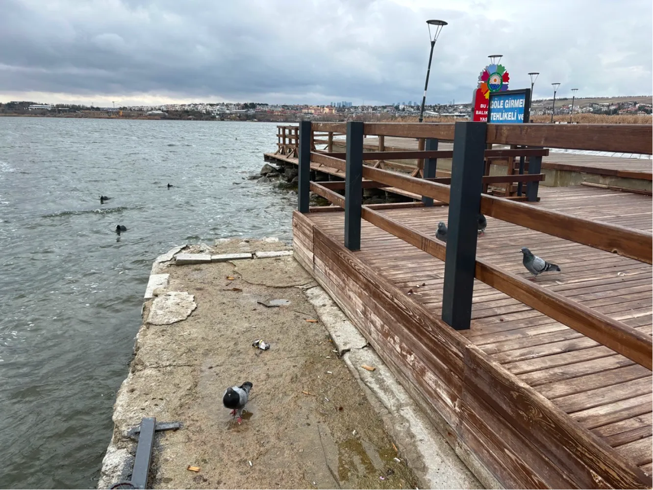 Dock edge along the water