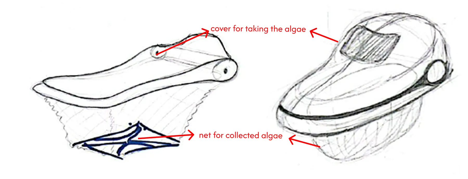 Ideation sketches with algae cover and net
