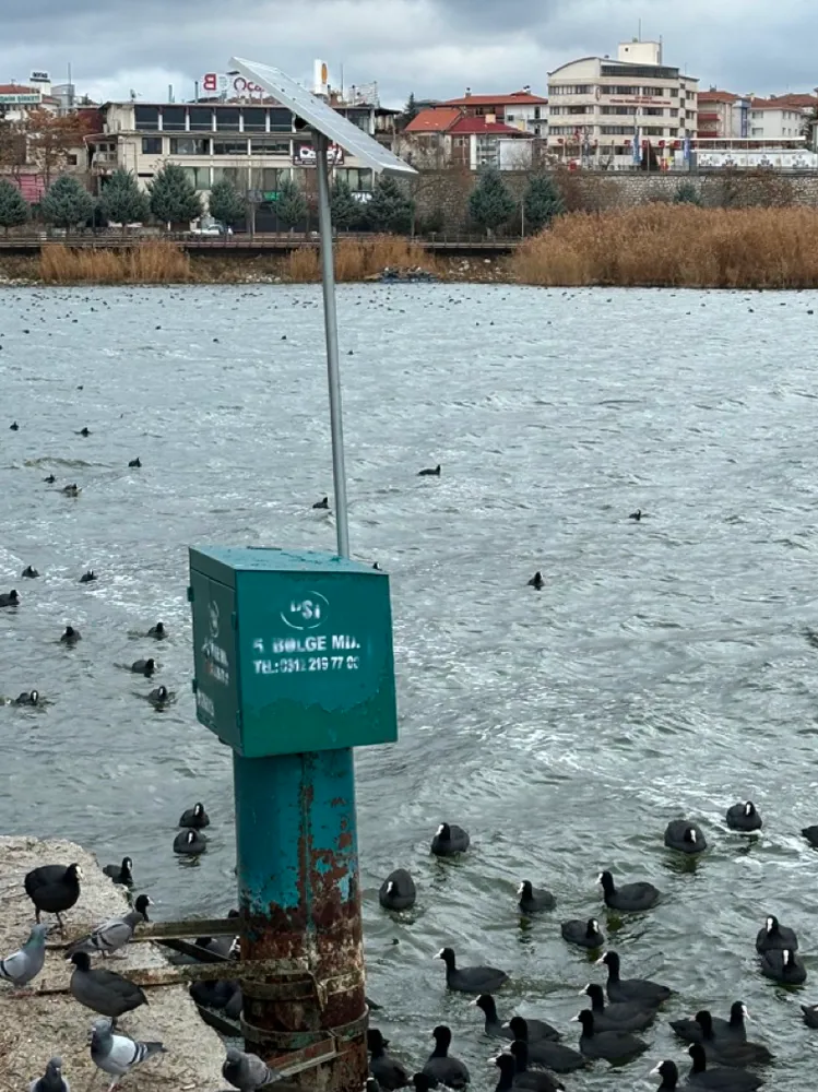 Solar panel pole by the lake