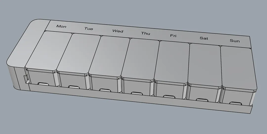 Weekly organizer with day lids